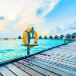 The Artist of Hosted Planning the Perfect For us